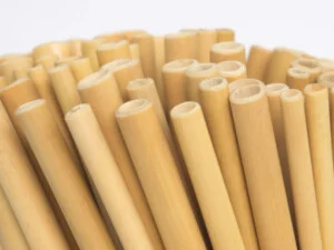 Bamboo Straw 4 450×338 1