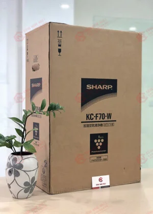 Bao Bi Carton 2