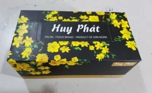 Hop20giay20lua20huy20phat2001