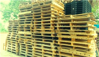 resize_pallet-go-
