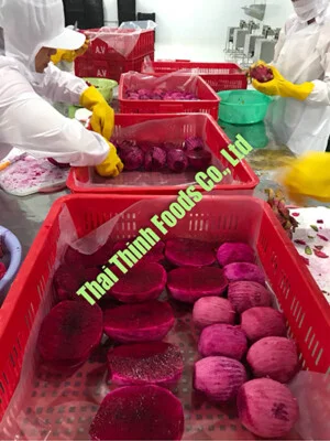 Thanh20long20cap20dong201