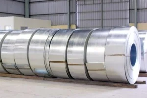 Thep20cuon