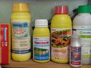 Thuoc20diet20con20trung20 20diet20muoi