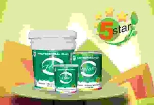 5star201