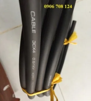 C¸p20®ion