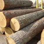 Gc20bng20l¨ng20c­em