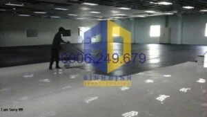 Chong20tinh20dien202
