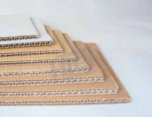 Giay20carton