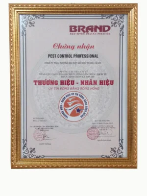 Giaychungnhan