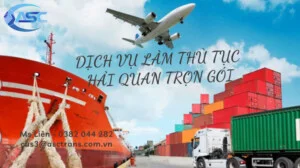 Haiquan1 1