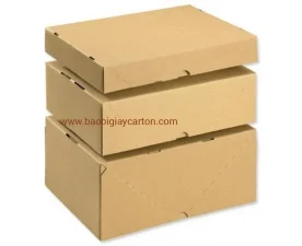 Thung20carton20320lop 1